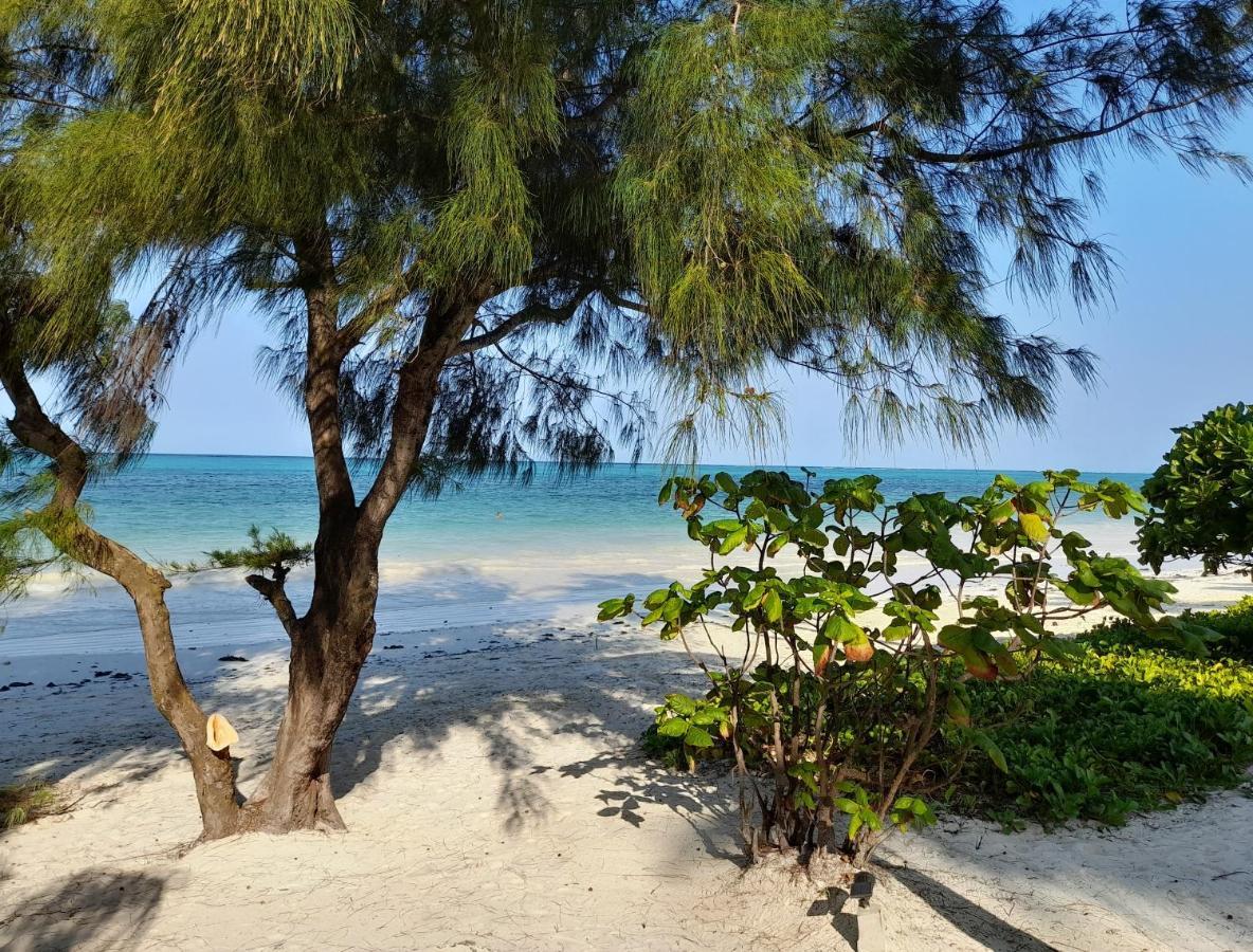 Kijani Beach Villas بويجو المظهر الخارجي الصورة